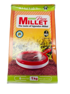 Premium quality millet grains packed fresh for cooking and healthy meals