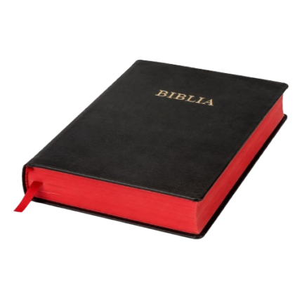 Swahili Bible