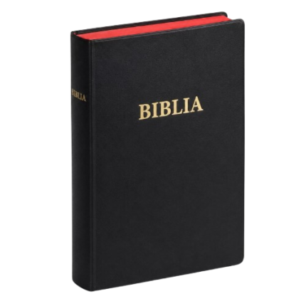 Swahili Bible
